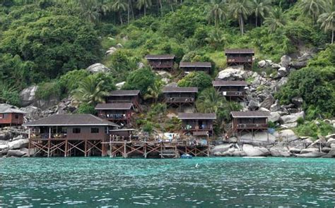 Perbezaan pakej langkawi arba travel berbanding yang lain? Guide to Diving in Pulau Aur & Pulau Dayang | JomDiving