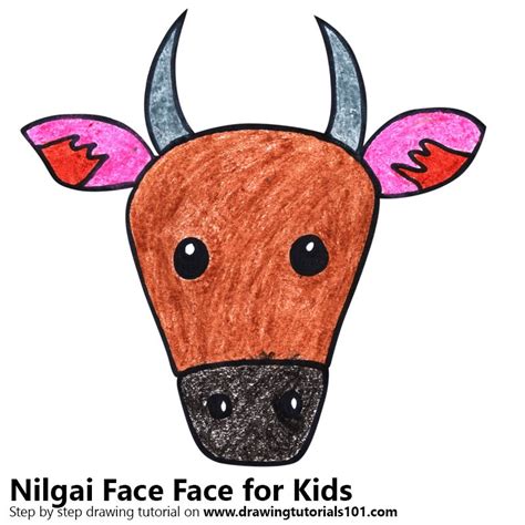 Learn How To Draw A Nilgai Face For Kids Animal Faces For