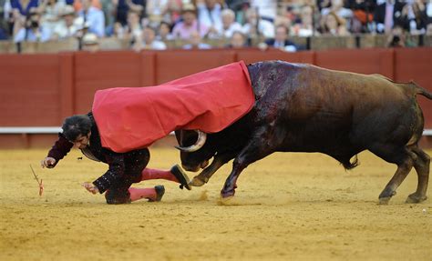 Organizers Cancel Madrid Bullfight After Three Matadors Are Gored For