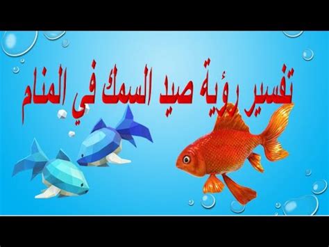 تفسير حلم رؤية اكل الأرز في المنام لابن سيرين youtube. تفسير حلم صيد السمك للمطلقه | تفسير مشاهدة صيد السمك في ...