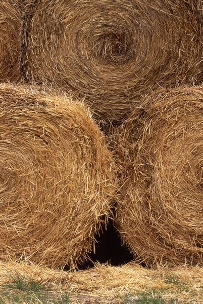 Three Bales Of Hay Stacked Together Free Photo Download Freeimages