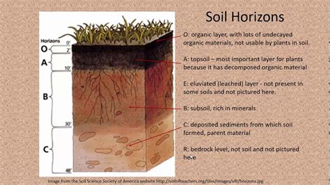 Significant Soils Soil Profile And Horizons Youtube