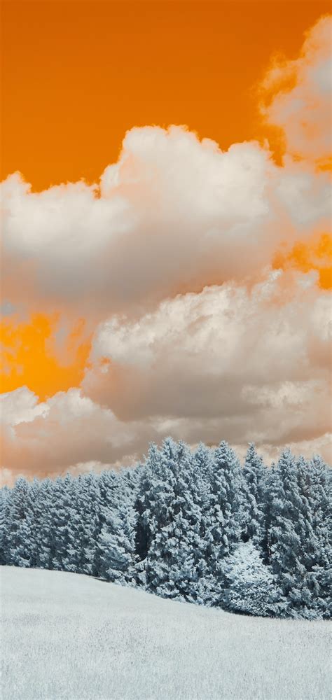 1080x2280 A Snow Covered Field With Trees Under A Cloudy Sky One Plus 6