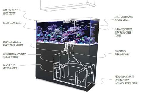 Aquarium Sumps This Is Everything You Need To Know The Beginners