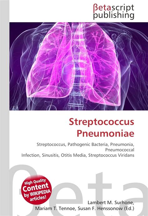 Streptococcus Pneumoniae Streptococcus Pathogenic Bacteria Pneumonia