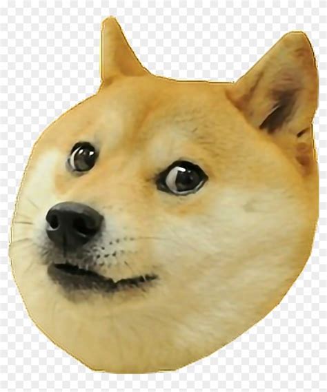 Doge Doggo Freestickers Memes Doggo Meme Png Transparent Png