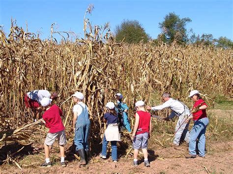 Howell Farm Invites Visitors to Participate in Hands-On Corn Harvest ...