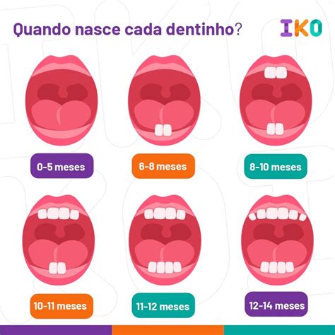 Quando Nasce Cada Dentinho Iko Instituto Kids De Odontologia