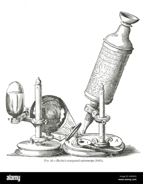 Deflector Exagerar Multitud Microscopio Compuesto Robert Hooke He Aprendido Irregularidades
