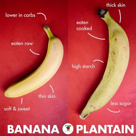 Banana Vs Plantain Eating Raw Fruits And Veggies Food