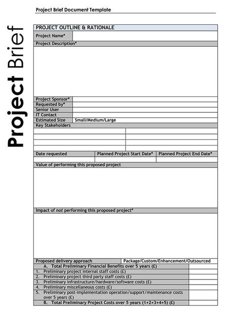 3 Project Brief Examples And Templates Word Pdf
