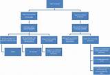 Photos of Medical Claims Processing Flow Chart