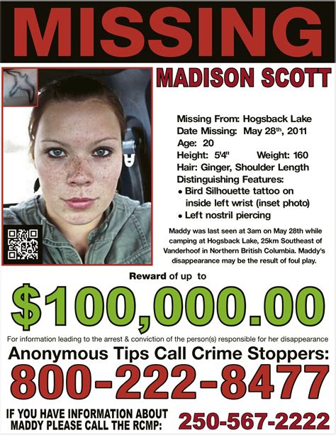 Missing Person Sunday The Case Of The Madison Scott R Gratefuldoe