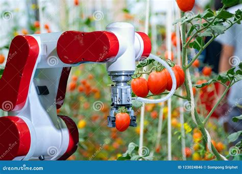 Farmers Use Futuristic Tablet To Inspect Robotic Arm Harvest Produce