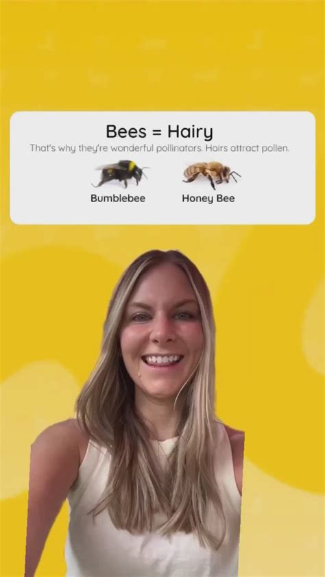 How To Identify Stinging Bugs And Keep Bees Safe 🐝 In 2022 Skin