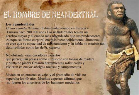 Etapas De La Evoluci N Del Hombre Caracteristicas De Los Hominidos The Best Porn Website