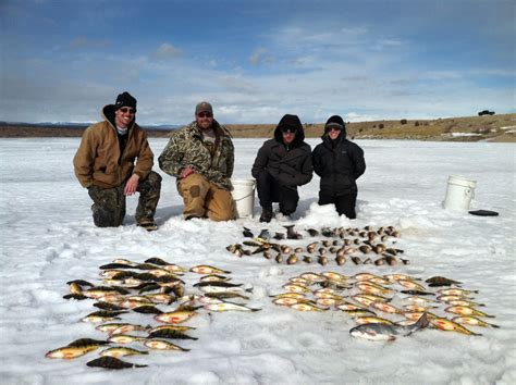 Winter Fishing Good For Rainbow Trout In Dixie Ice Fishing Statewide