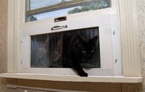24 Inch Regular Kp Cat Window Patio Catio Solarium Large Etsy