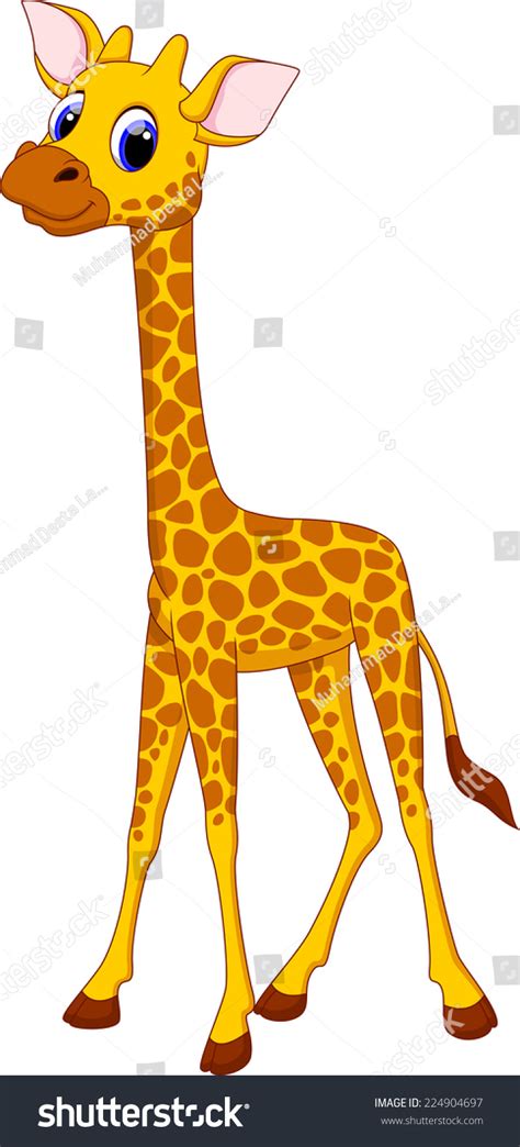 Cute Giraffe Cartoon Stock Vector Illustration 224904697