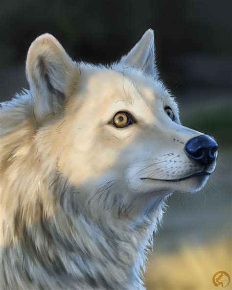 Wolf Speedpaint By Khaliaart On Deviantart