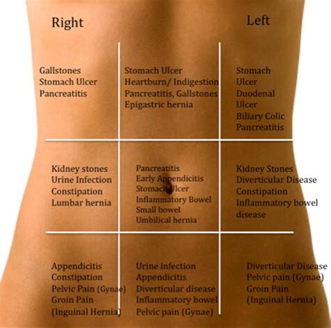 The abdominal cavity has the most amount of organs from various systems, compared to any other cavity. Stomach Pain Under Left Rib Cage