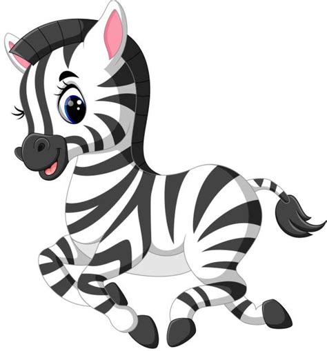 Cartoon Of The Zebra Faces Illustrations Royalty Free Vector Graphics