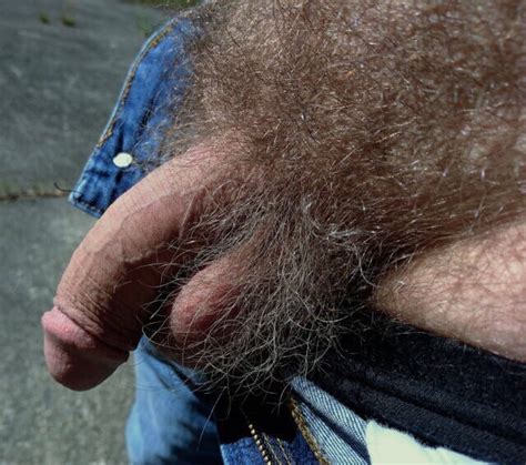 Pubic Hair And Unshaved Bush Very Hairy Pics Xhamster