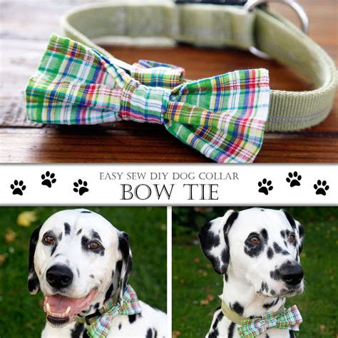 How To Sew A Diy Dog Bow Tie And Collar Attachments Dalmatian Diy
