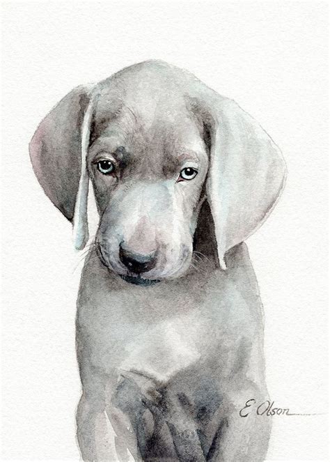 Weimaraner Puppy Original Watercolor Painting Watercolor Luv