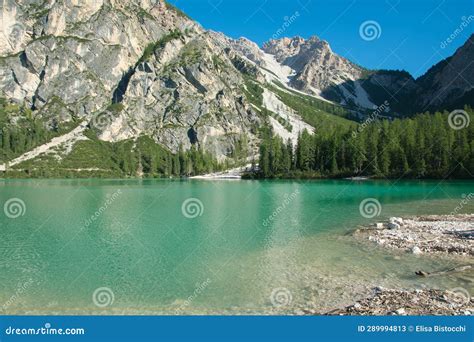 Summer View Of Lake Braies Also Known As Pragser Wildsee In South Tyrol