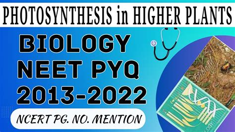 Photosynthesis In Higher Plants Class 11 Neet Pyq With Ncert Youtube