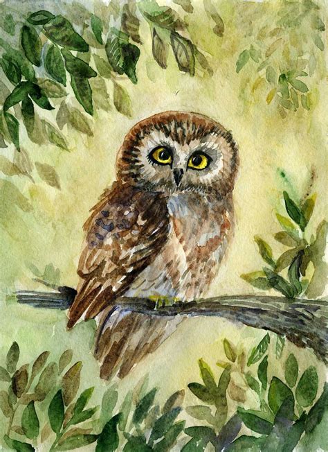 Saw Whet Owl By Redilion On Deviantart Owl Canvas Art Owl Canvas Owl