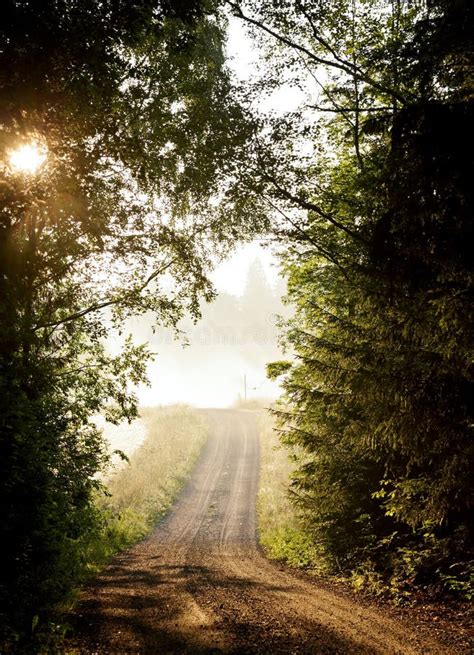 A Narrow Country Road At Sunrise Stock Photo Image Of Sunrise