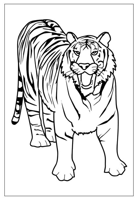 Introduzir 109 Imagem Desenhos De Tigresa Br Thptnganamst Edu Vn