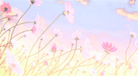 aesthetic anime flowers anime wallpaper