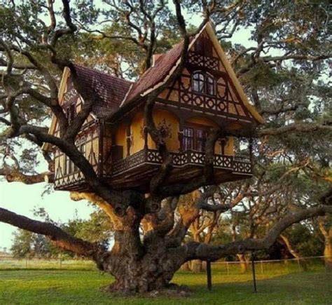 15 Charming Tree Houses For A Peaceful Getaway