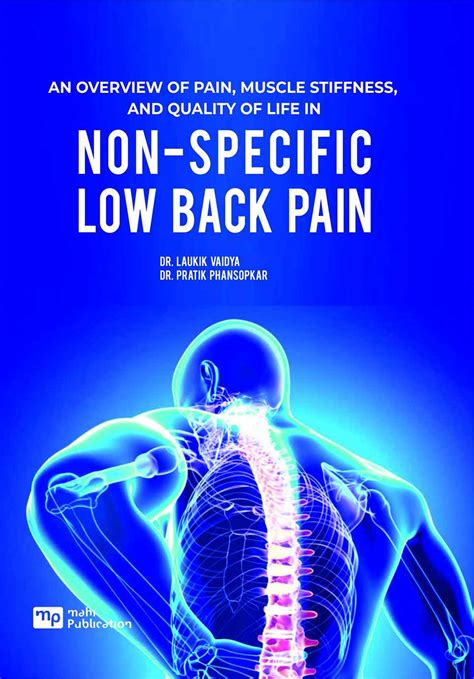 An Overview Of Pain Muscle Stiffness Non Specific Low Back Pain And