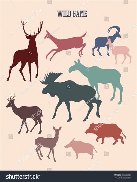 Set Wild Game Silhouettes Made Vector Stock Vector Royalty Free