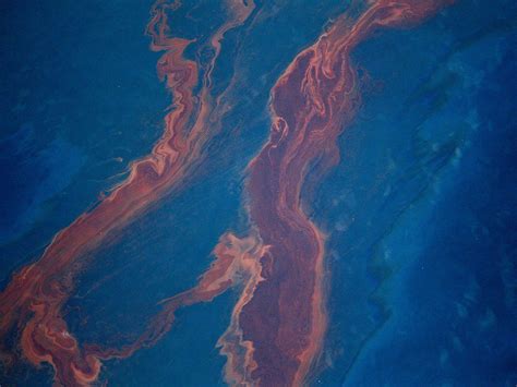 Foreign Policy The Biggest Oil Spills In History Npr