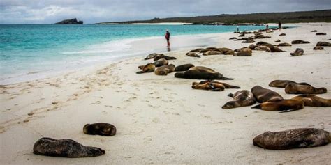 21 Fascinating Facts About The Galapagos Islands