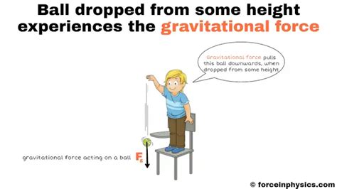 Examples Of Gravitational Force In Our Daily Life