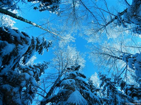 Great Atmosphere Blue Winter Great Atmosphere