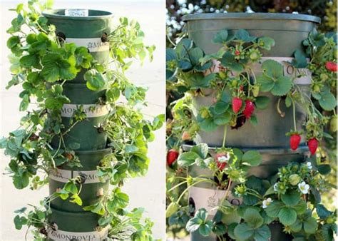 30 Diy Tower Garden Ideas To Grow Plants Vertically The Self