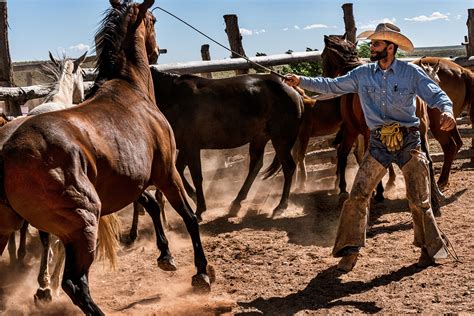 Babbitt Ranch Cowboys Working On Behance