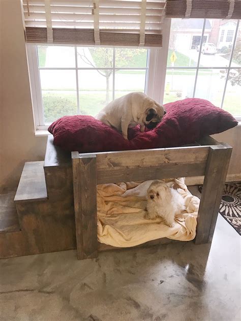 And if you're looking for some help in training your. Dog bunk bed via Sotheavy Ley | Dog bunk beds, Holistic ...