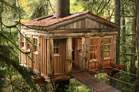 Explore The Most Amazing Adult Tree Houses On The Planet Long Live The