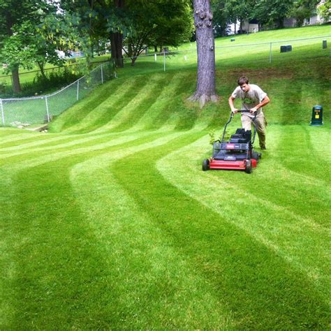Lawn Mowing and Grass Cutting | Village Grass Lawncare