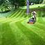 Lawn Mowing And Grass Cutting  Village Lawncare
