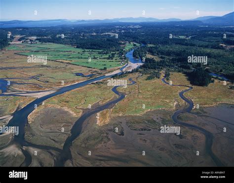 Aerial View Of Nanaimo River Estuary Vancouver Island British