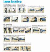 Lower Back Exercises Images